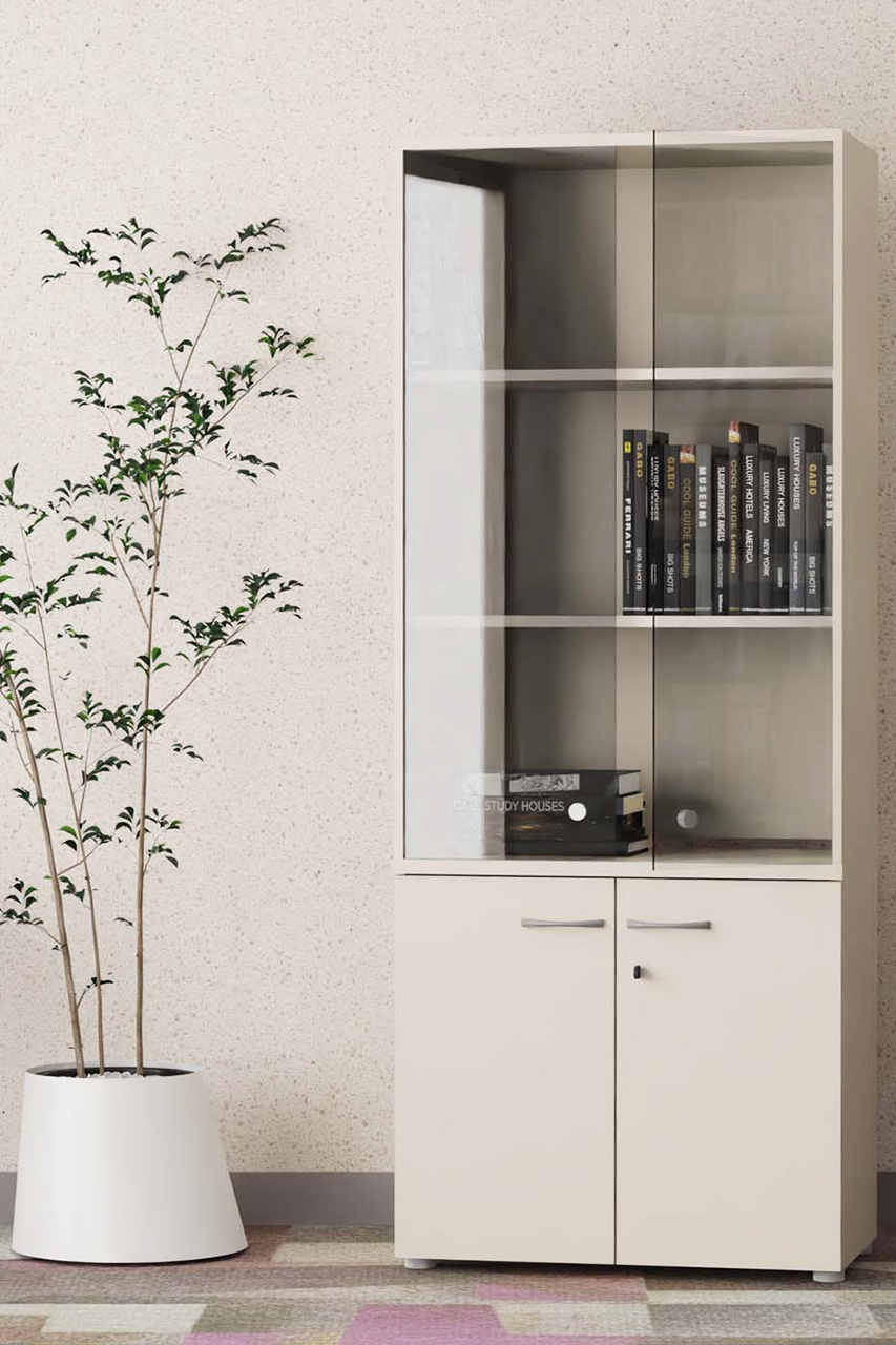 Armoire vitrée 1