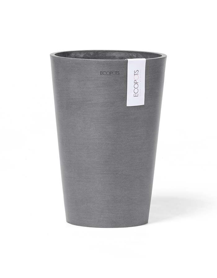 PISA 21 Dark Grey